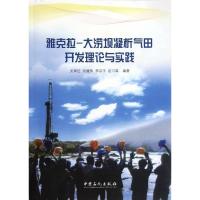 雅克拉:大涝坝凝析气田开发理论与实践 文军红 等 著 专业科技 文轩网