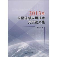 2013年卫星遥感应用技术交流论文集 无 著 专业科技 文轩网