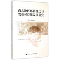 西北地区环境变迁与农业可持续发展研究 王向辉//韩灵梅 著作 著 专业科技 文轩网