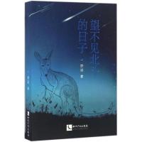 望不见北斗的日子 舒泥 著 著作 文学 文轩网