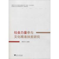 社会力量参与文化精准扶贫研究 黄奇杰 著 经管、励志 文轩网