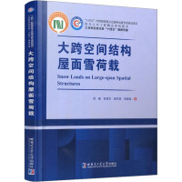 大跨空间结构屋面雪荷载 范峰 等 著 专业科技 文轩网