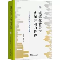 城镇化背景下乡城劳动力迁移——基于劳动力地理景观 张少尧,邓伟 著 经管、励志 文轩网