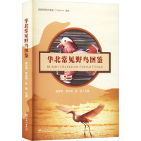 华北常见野鸟图鉴 崔多英,李言阔,张超 编 专业科技 文轩网