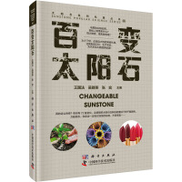 百变太阳石 王国法,吴群英,张宏 编 专业科技 文轩网