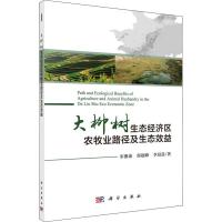 大柳树生态经济区农牧业路径及生态效益 宋豫秦,邵超峰,李晨晨 著 著 经管、励志 文轩网