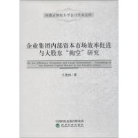 企业集团内部资本市场效率促进与大股东"掏空"研究 王艳林 著 经管、励志 文轩网