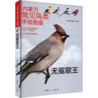 无冕歌王 内蒙古自然博物馆 编 文教 文轩网