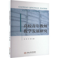 高校青年教师教学发展研究 范智,李刚 编 文教 文轩网