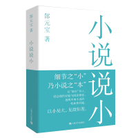 小说说小 郜元宝 著 文学 文轩网