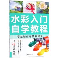 水彩入门自学教程 飞乐鸟工作室 著 艺术 文轩网