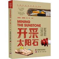 开采太阳石 王国法,吴群英,张宏 编 专业科技 文轩网