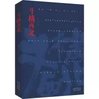 斗横西北 沙莎 著 文学 文轩网
