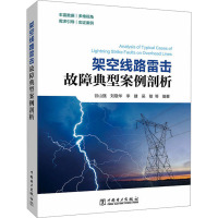 架空线路雷击故障典型案例剖析 谷山强 等 编 专业科技 文轩网