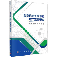 时空信息支撑下的城市定量研究 杨卫军 等 著 专业科技 文轩网