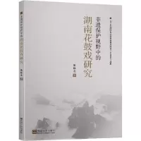 非遗保护视野中的湖南花鼓戏研究 朱咏北 著 艺术 文轩网