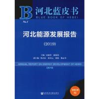 河北能源发展报告(2019) 2019版 袁建普,康振海 编 经管、励志 文轩网