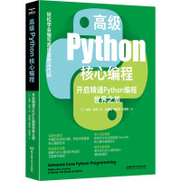 高级Python核心编程 开启精通Python编程世界之旅 