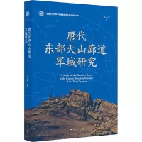 唐代东部天山廊道军城研究 王玉平 著 社科 文轩网