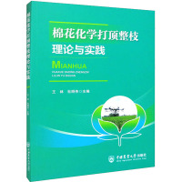 棉花化学打顶整枝理论与实践 王林杜明伟 著 著 王林,杜明伟 编 专业科技 文轩网