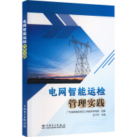 电网智能运检管理实践 广东电网有限责任公司韶关供电局,彭子平 编 专业科技 文轩网