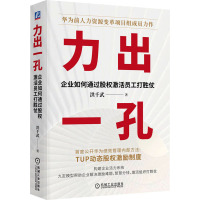 力出一孔 企业如何通过股权激活员工打胜仗 洪千武 著 经管、励志 文轩网