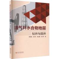 油气井水合物地层钻井与固井 郑明明 等 著 专业科技 文轩网