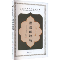 燃烧的坟场 (摩洛哥)艾哈迈德·卡比里 著 杨凤同 译 文学 文轩网