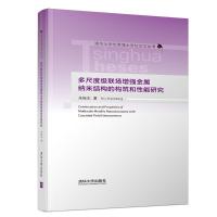 多尺度级联场增强金属纳米结构的构筑和性能研究 朱振东 著 专业科技 文轩网