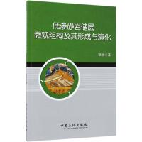 低渗砂岩储层微观组构及其形成与演化 张创 著 著 专业科技 文轩网