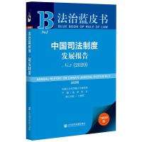 中国司法制度发展报告 No.2(2020) 2020版 陈甦,田禾 编 社科 文轩网