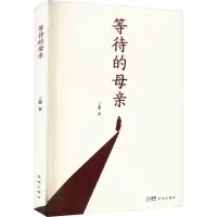 等待的母亲 丁燕 著 文学 文轩网