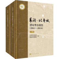 苇沟-北寿城遗址考古报告(2011~2014)(全2册) 山西省考古研究院,临汾市文化和旅游局,翼城县文化和旅游局 编 