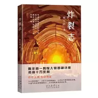 炸裂志 陈年喜 著 文学 文轩网