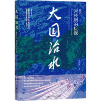 大国治水 基于河长制的检视 颜海娜 著 专业科技 文轩网