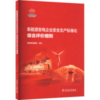 新能源发电企业安全生产标准化综合评价细则 国家能源集团 专业科技 文轩网