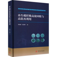 再生碳纤维高效回收与高值再利用 成焕波,钱正春 著 专业科技 文轩网