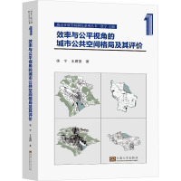 效率与公平视角的城市公共空间格局及其评价 徐宁,王建国 著 专业科技 文轩网