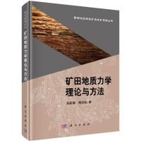 矿田地质力学理论与方法 孙家骢,韩润生 著 专业科技 文轩网