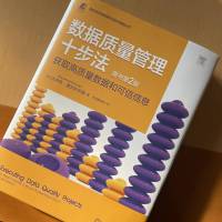 数据质量管理十步法 获取高质量数据和可信信息 原书第2版 (美)达内特·麦吉利夫雷 著 本书翻译组 译 专业科技 文轩网