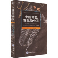 中国常见古生物化石 唐永刚,邢立达 编 专业科技 文轩网