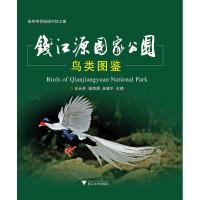 钱江源国家公园鸟类图鉴 汪长林,钱海源,余建平 编 专业科技 文轩网