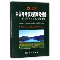 (2013)中国可持续发展战略报告 编者:中国科学院可持续发展战略研究组 著作 著 生活 文轩网