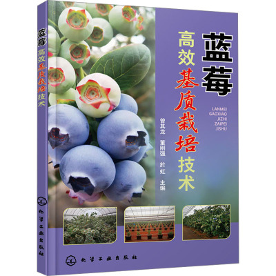 蓝莓高效基质栽培技术 曾其龙,董刚强,於虹 编 专业科技 文轩网
