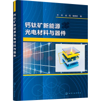 钙钛矿新能源光电材料与器件 王欢,赵阳,杨美煜 著 专业科技 文轩网