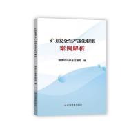 矿山安全生产违法犯罪案例解析 国家矿山安全监察局 著 专业科技 文轩网