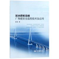 深水群桩基础广角度安全监控技术及应用 薛涛 著作 著 专业科技 文轩网