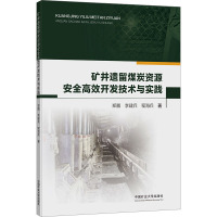 矿井遗留煤炭资源安全高效开发技术与实践 郑鹏,李建兵,程海兵 著 大中专 文轩网