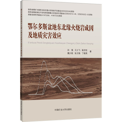 鄂尔多斯盆地东北缘火烧岩成因及地质灾害效应 孙强 等 著 大中专 文轩网