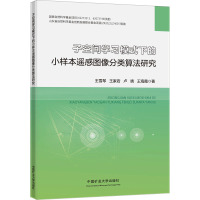 子空间学习模式下的小样本遥感图像分类算法研究 王雪琴 等 著 大中专 文轩网